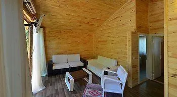 فيلة Azra Çıralı