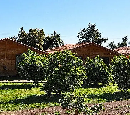 Villa Azra Çıralı
