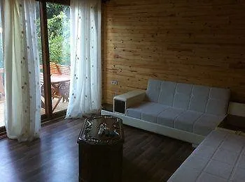 Azra Cirali