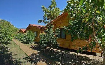 Azra Villa Çıralı